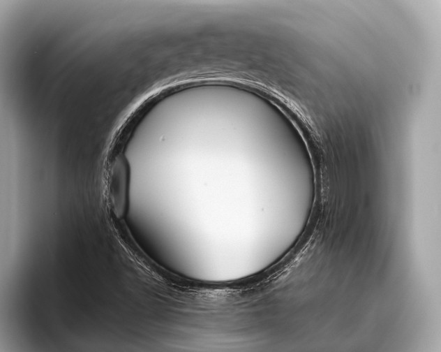 X0000095921502200801251019