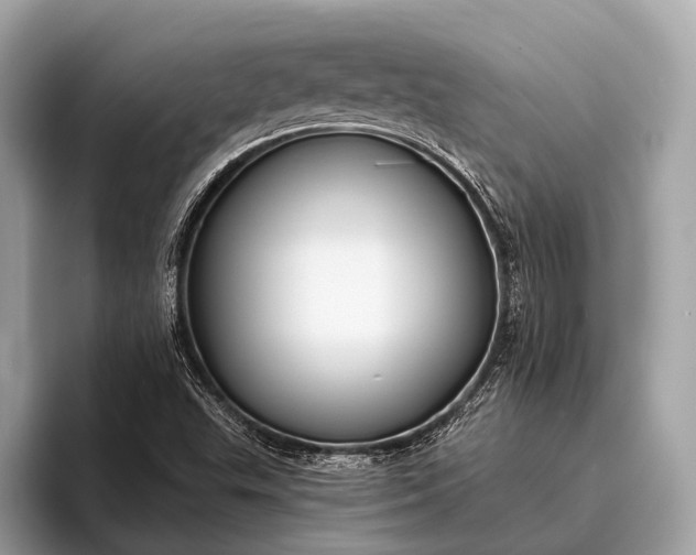 X0000095921503200801251019