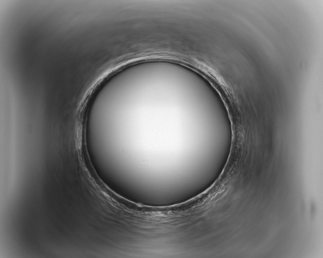 X0000095921504200801251019