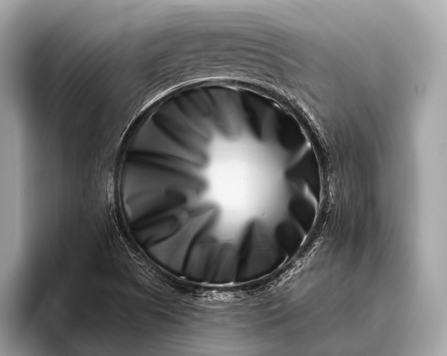 X0000095921505200801251019