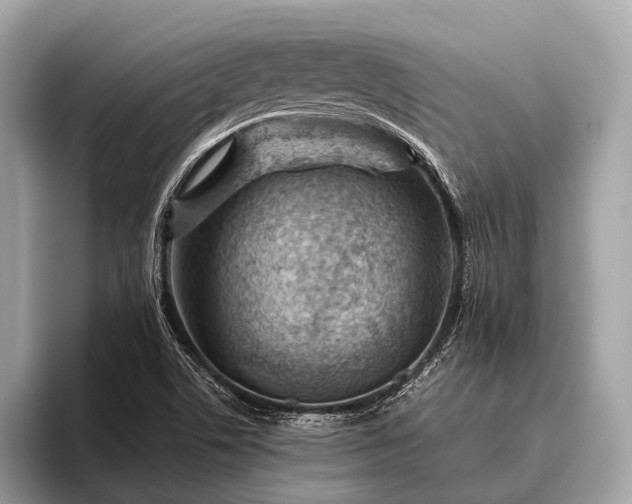 X0000095921506200801251019