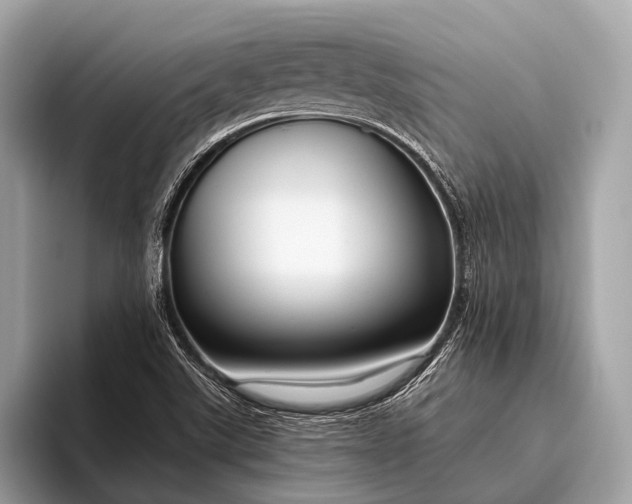 X0000095921507200801251019