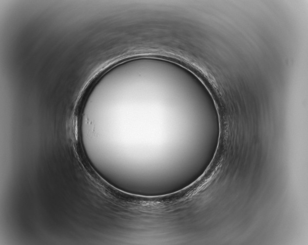 X0000095921509200801251019