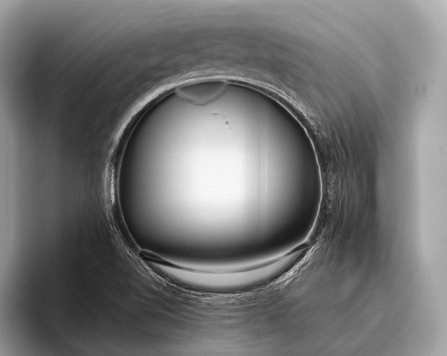 X0000095921510200801251019