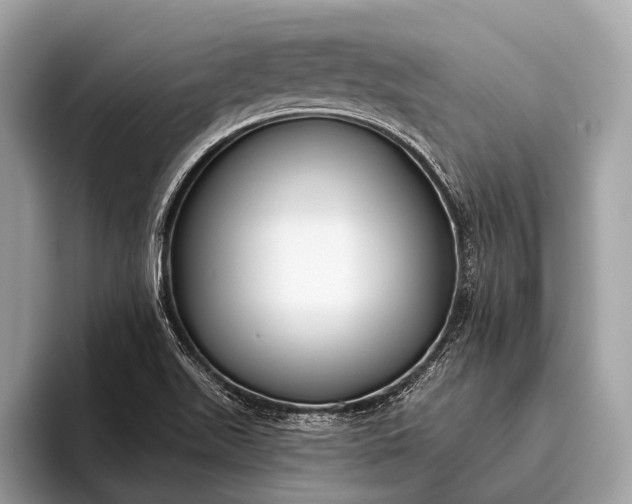 X0000095921511200801251019