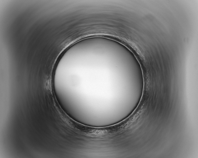 X0000095921513200801251019