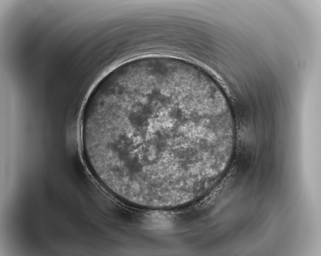 X0000095921514200801251019