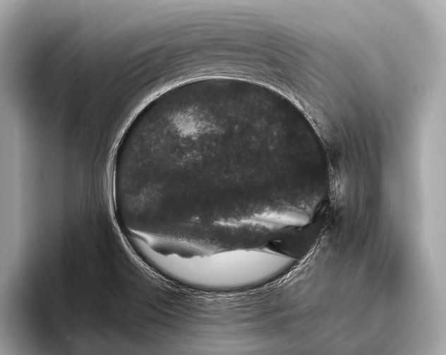 X0000095921515200801251019