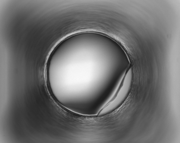 X0000095921516200801251019