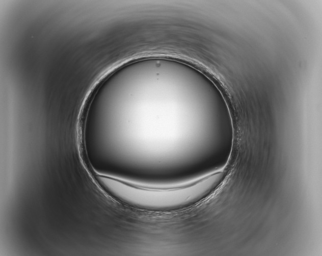 X0000095921517200801251019