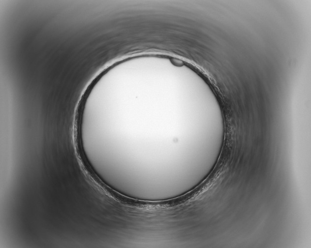 X0000095921518200801251019