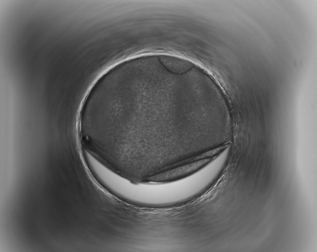 X0000095921519200801251019