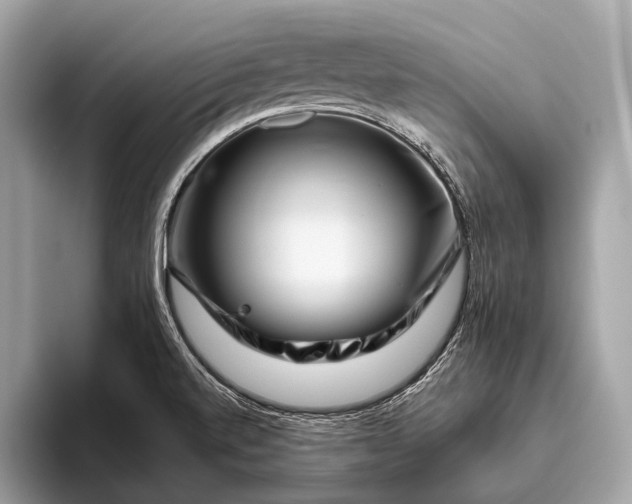 X0000095921520200801251019