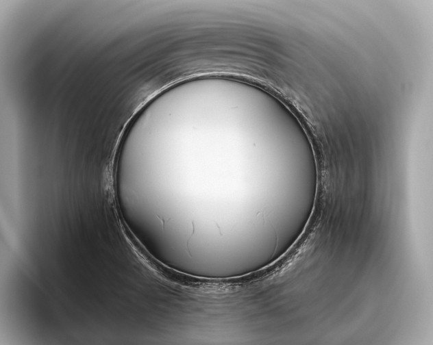 X0000095921521200801251019