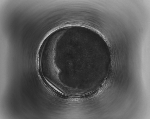 X0000095921522200801251019