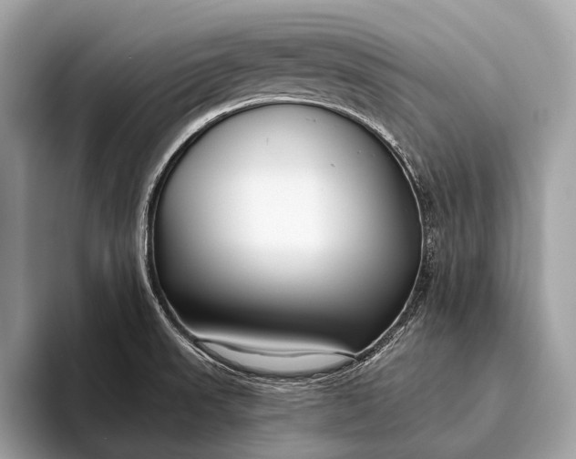 X0000095921523200801251019