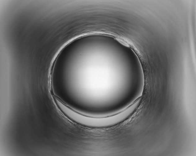 X0000095921524200801251020