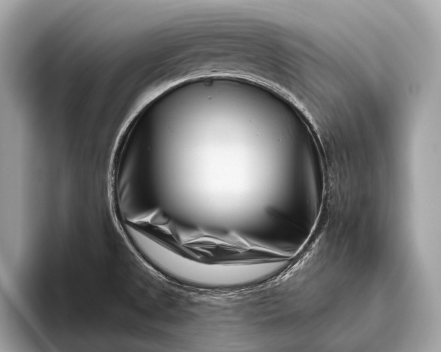 X0000095921525200801251020