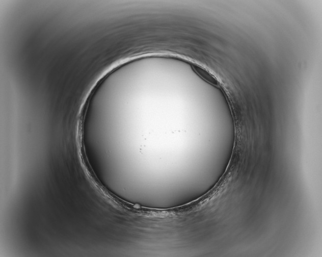 X0000095921526200801251020