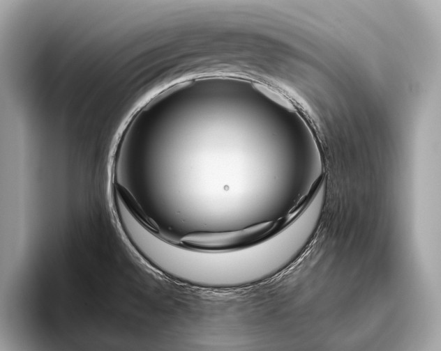 X0000095921528200801251020