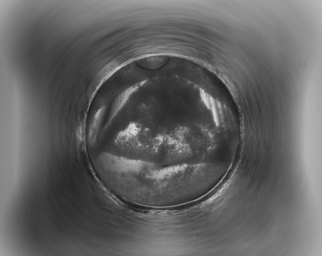 X0000095921529200801251020