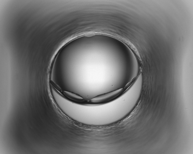 X0000095921530200801251020