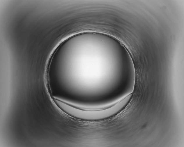 X0000095921531200801251020