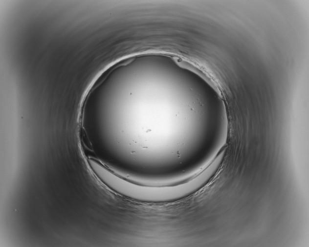 X0000095921532200801251020