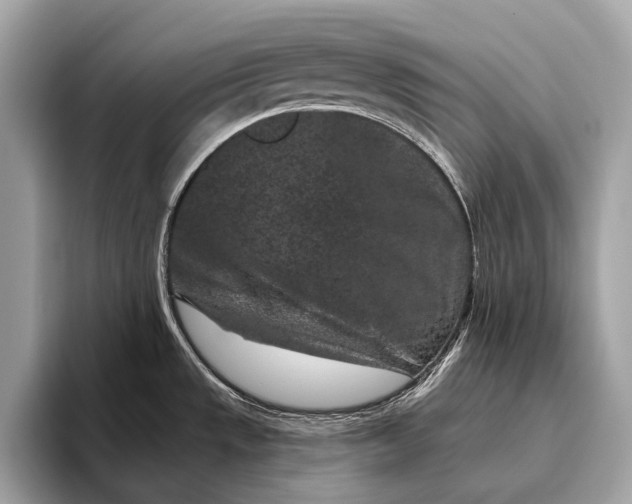 X0000095921533200801251020