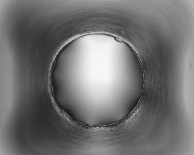 X0000095921534200801251020