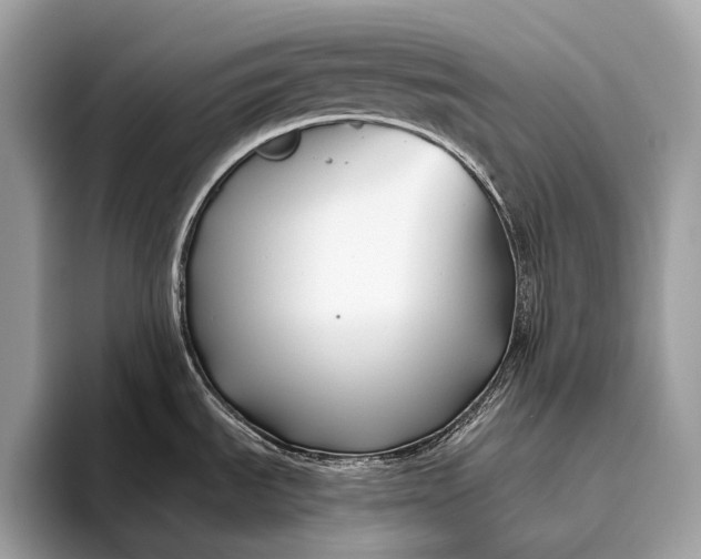 X0000095921535200801251020