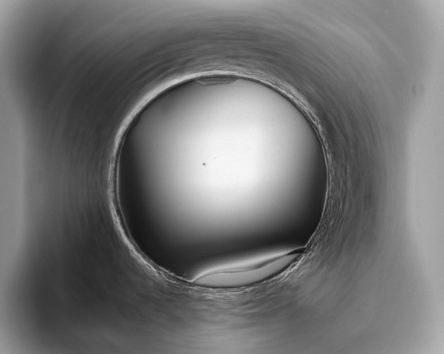 X0000095921536200801251020