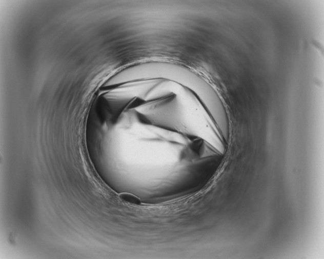 X0000095920001200802011223