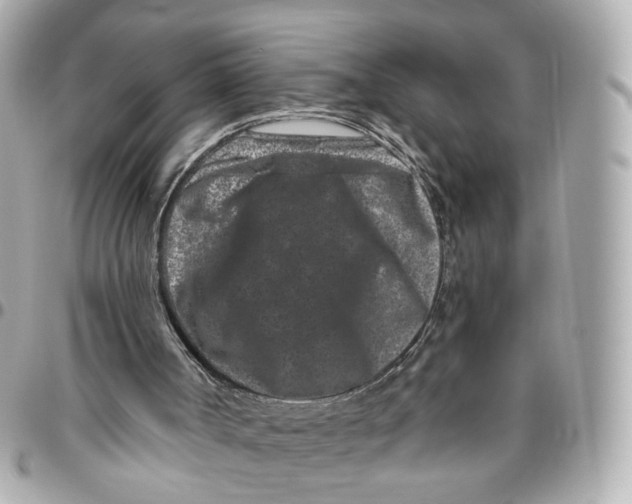 X0000095920002200802011223