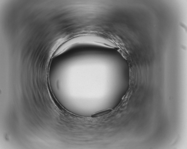 X0000095920003200802011223