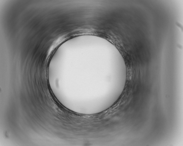 X0000095920004200802011223