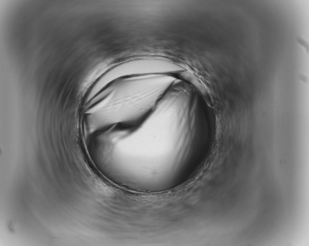 X0000095920005200802011223