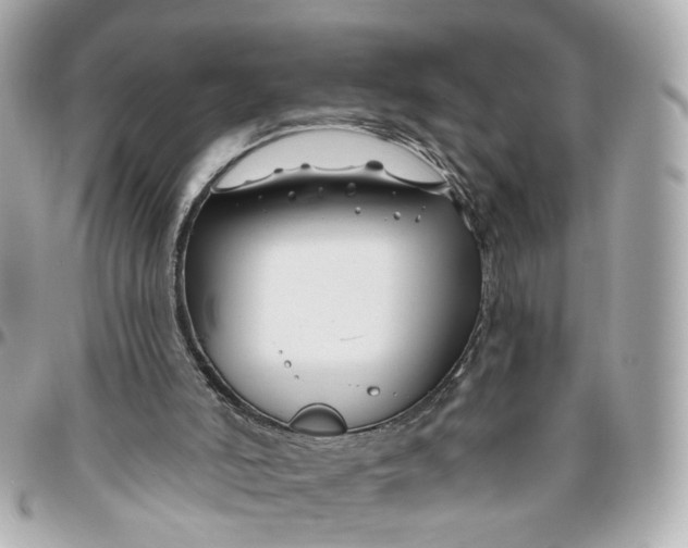 X0000095920006200802011223