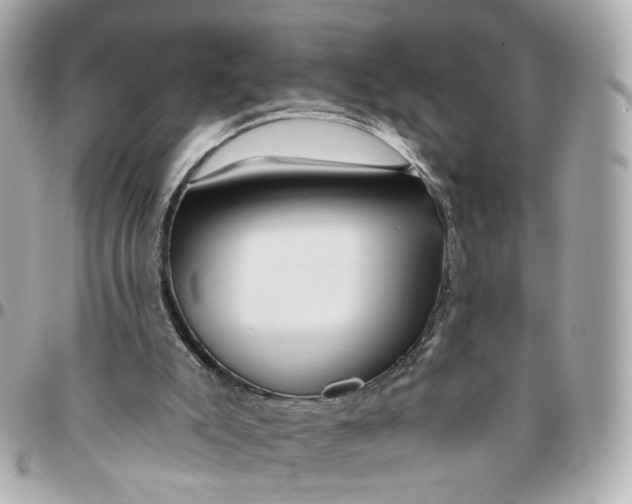 X0000095920007200802011223