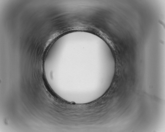 X0000095920011200802011223