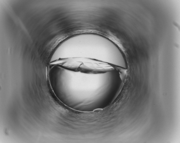 X0000095920013200802011223