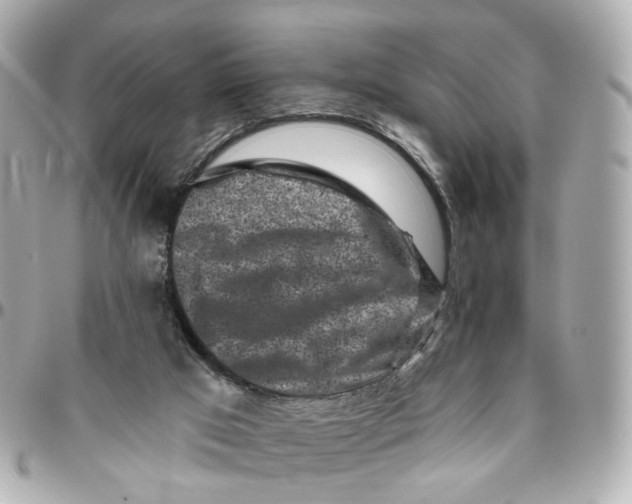 X0000095920017200802011223