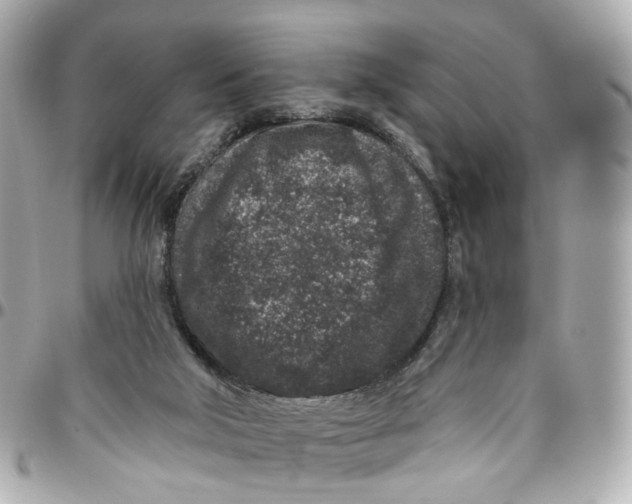 X0000095920018200802011223