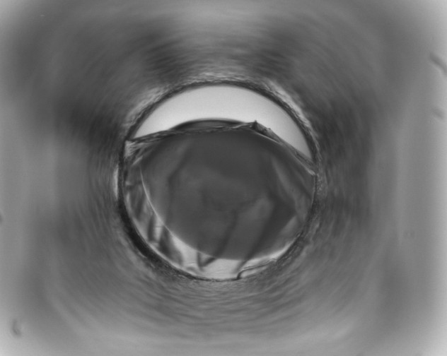 X0000095920019200802011223