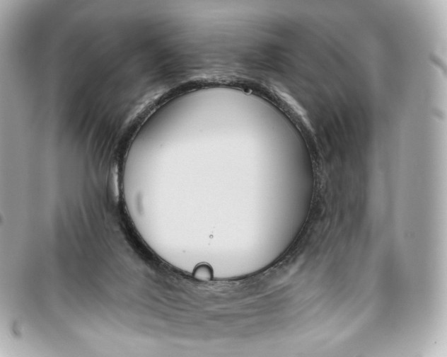 X0000095920020200802011223