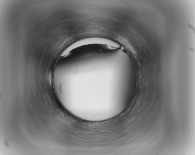 X0000095920021200802011223