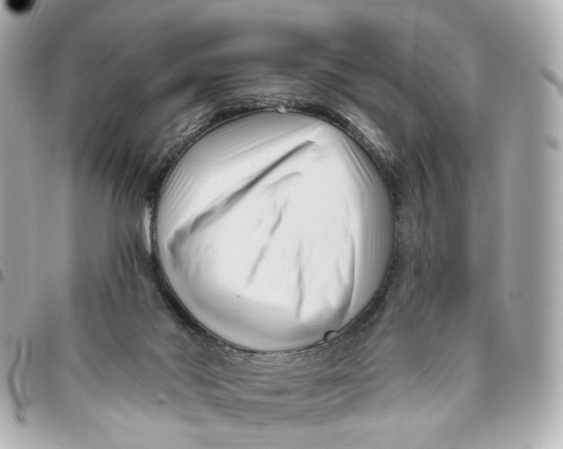 X0000095920022200802011223