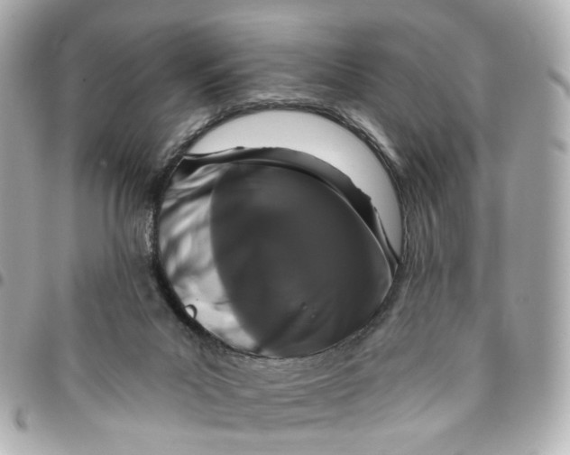 X0000095920023200802011223