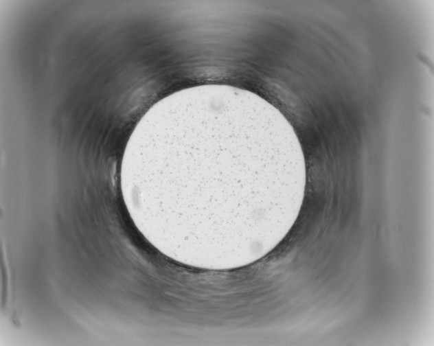 X0000095920024200802011223