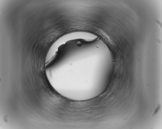 X0000095920025200802011223